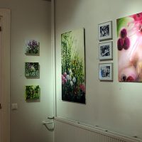 Ahjo Art Center, June 2012.